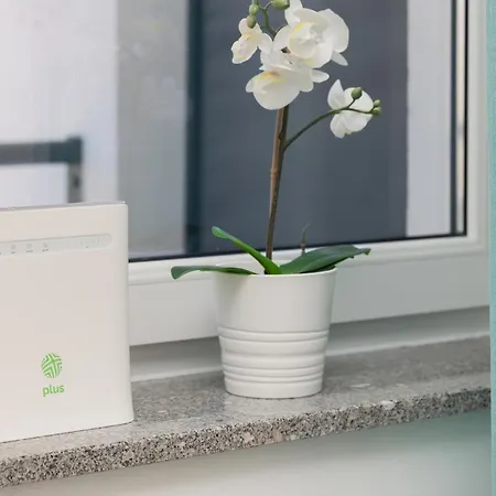 Lena Nad Morzem Apartamento *